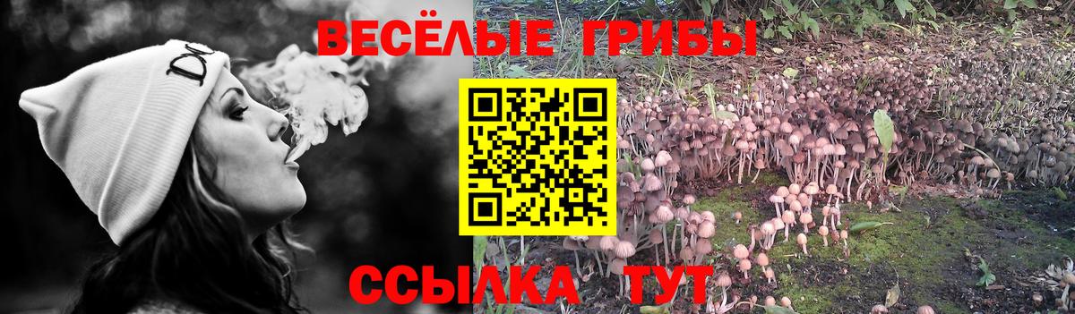 Галлюциногенные грибы MAGIC MUSHROOMS Курчатов