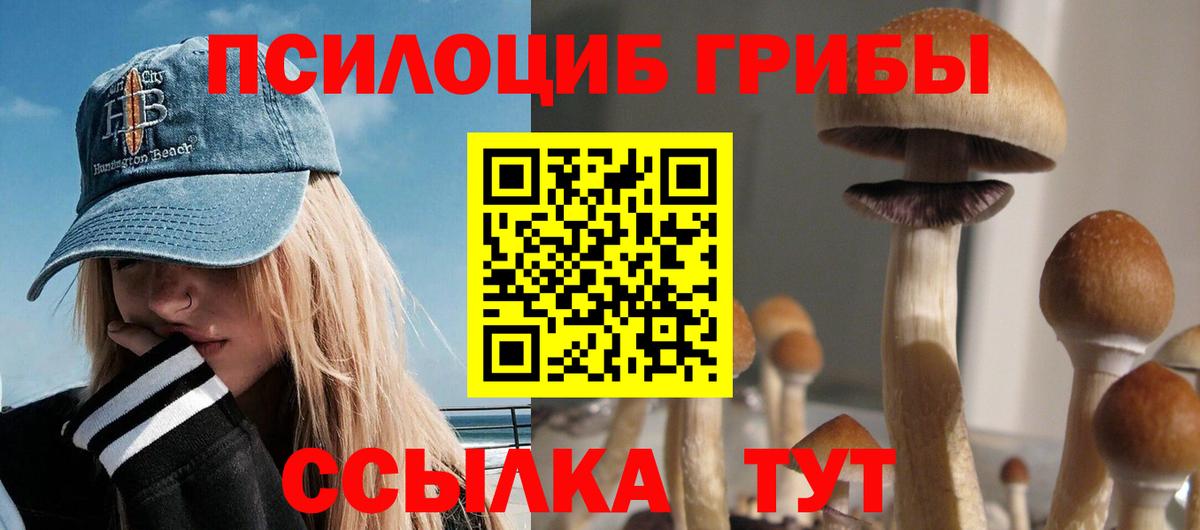 Галлюциногенные грибы мухоморы  Галлюциногенные грибы Psilocybe  Вход с VPN  наркотики  Курчатов 